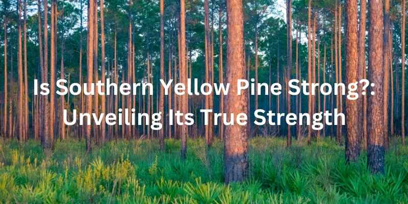 Is Southern Yellow Pine Strong?: Unveiling Its True Strength