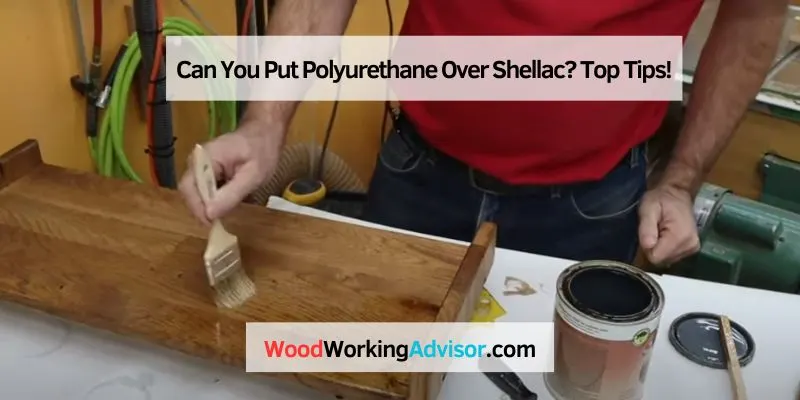 Can You Put Polyurethane Over Shellac