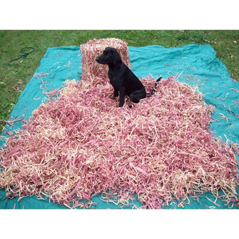 Are Cedar Chips Safe for Dogs