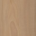 Is Applewood from an Apple Tree: Unveiling the Truth – Woodworking Advisor