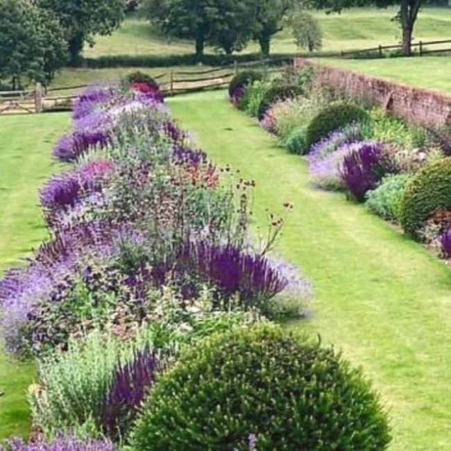 What to Plant With Boxwood Shrubs