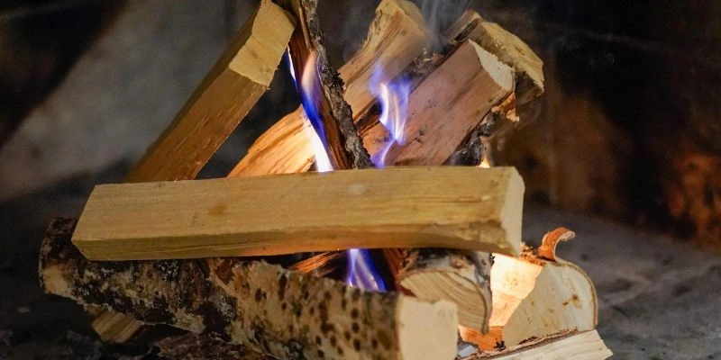 Can Ash Dieback Wood Be Used for Firewood