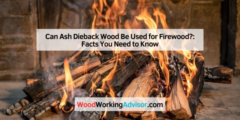 Can Ash Dieback Wood Be Used for Firewood