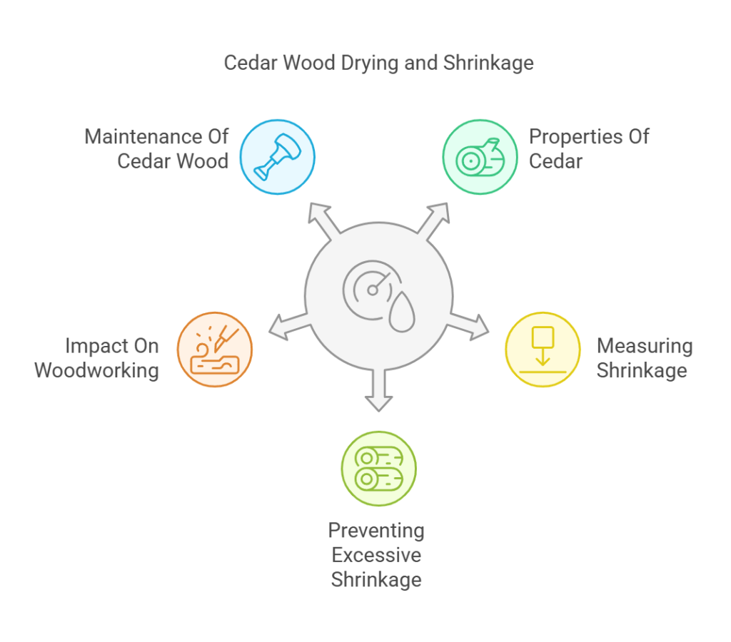 Does Cedar Shrink When It Dries