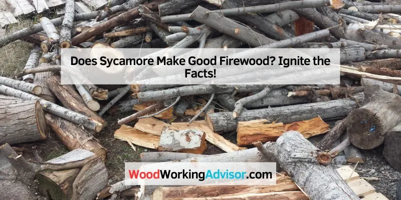 Does Sycamore Make Good Firewood