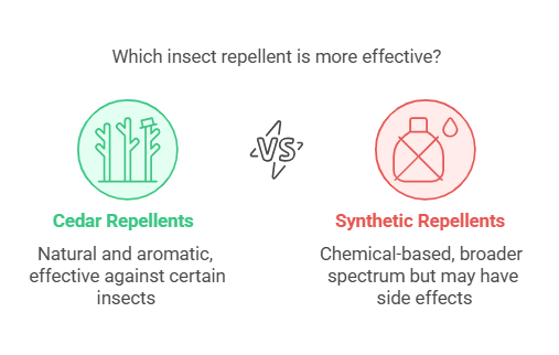 Does the Smell of Cedar Repel Insects