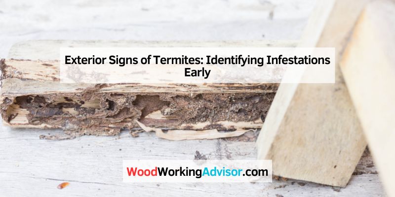 Exterior Signs of Termites