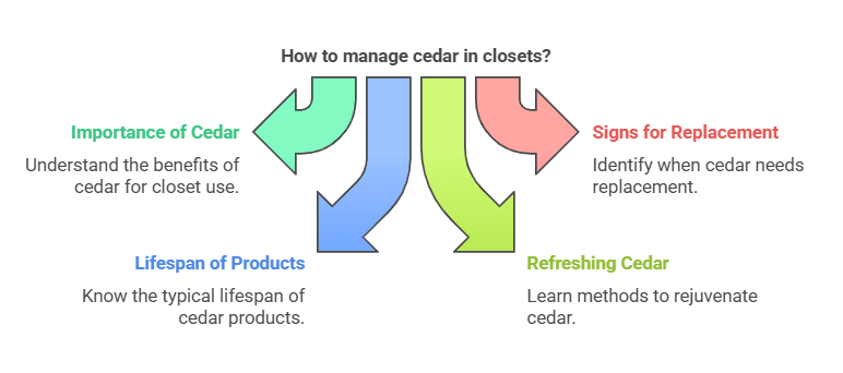 How Often Should You Replace Cedar in Closet