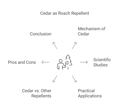 Is Cedar a Good Repellent for Roaches