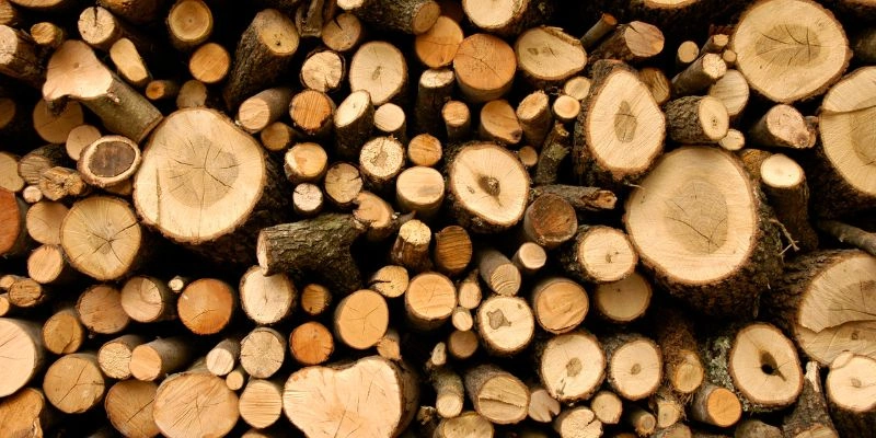 Is Cottonwood a Good Firewood