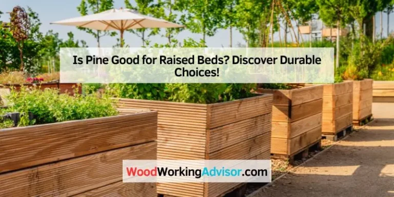 Is Pine Good for Raised Beds