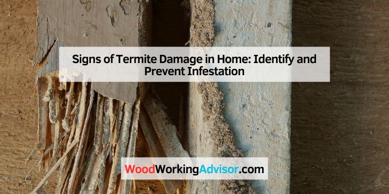Signs of Termite Damage in Home