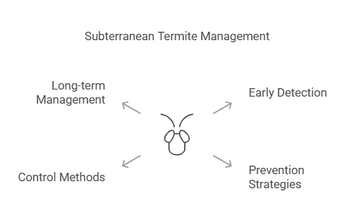 Subterranean Termite Swarmer