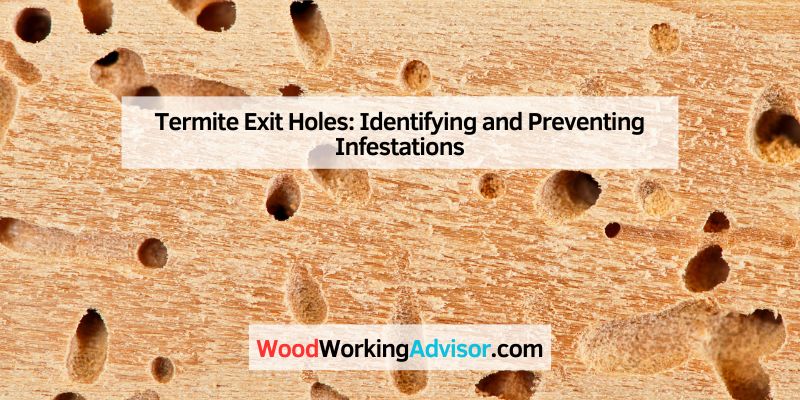 Termite Exit Holes