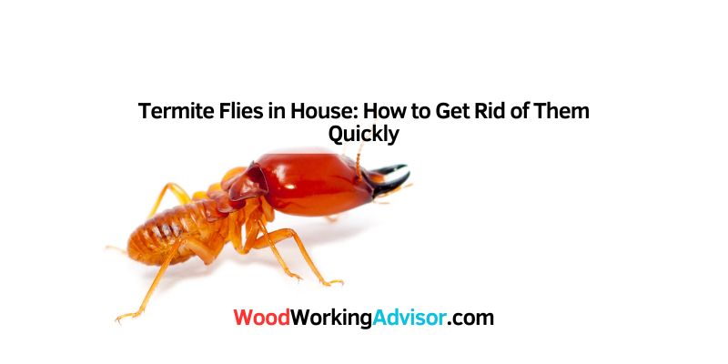 Termite Flies in House
