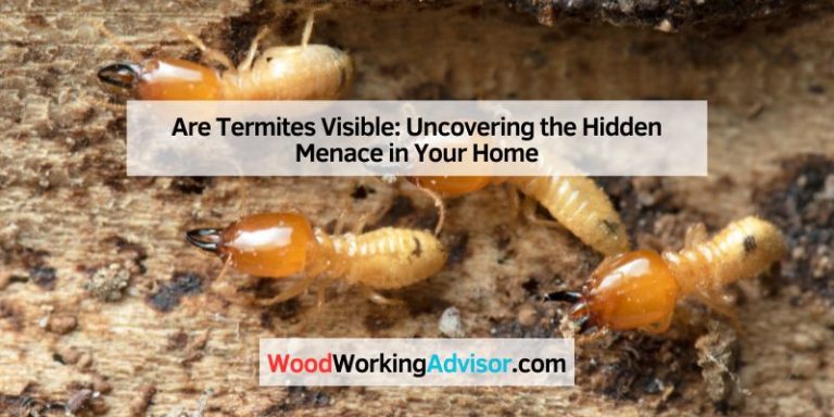 Are Termites Visible