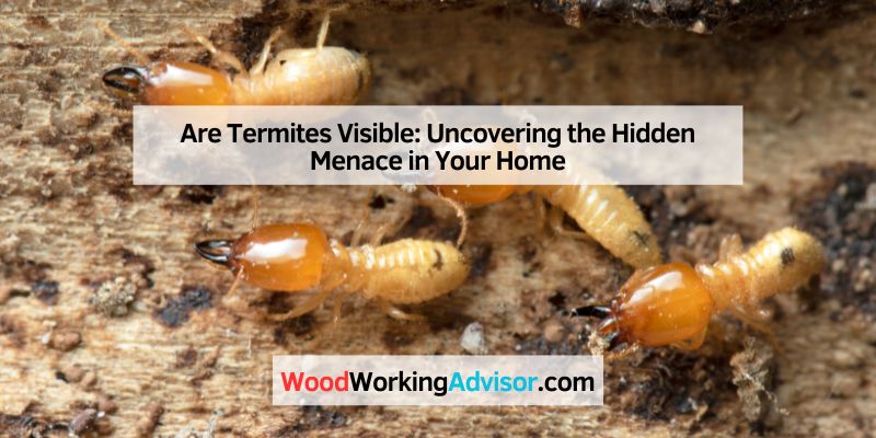 Are Termites Visible