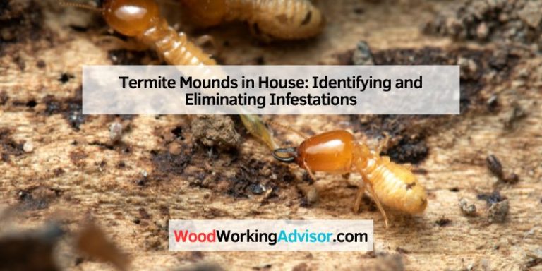 Termite Mounds in House