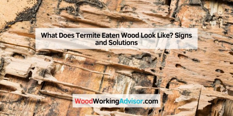 What Does Termite Eaten Wood Look Like