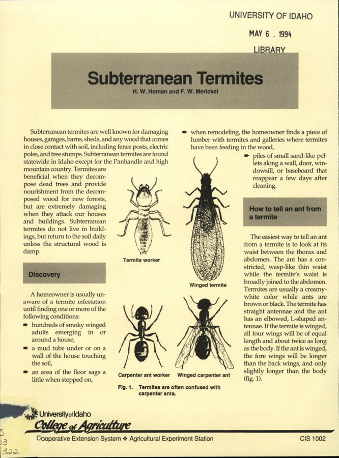 A Termite Infestation is Usually Discovered When