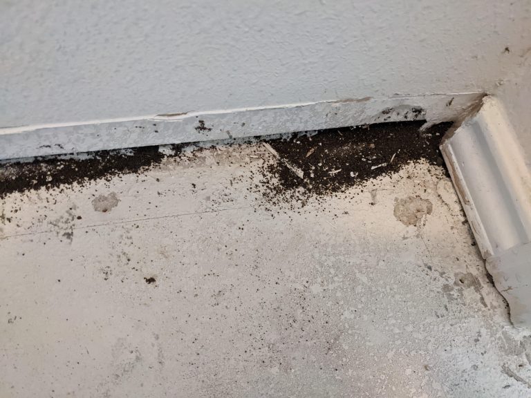 Pile of Dirt near Baseboard