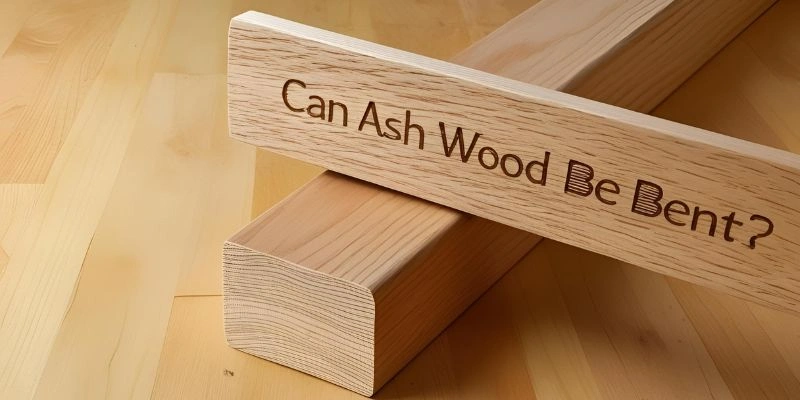 Can Ash Wood Be Bent