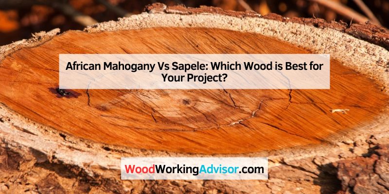 African Mahogany Vs Sapele