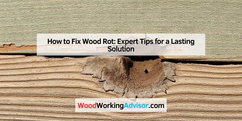 How to Fix Wood Rot: Expert Tips for a Lasting Solution