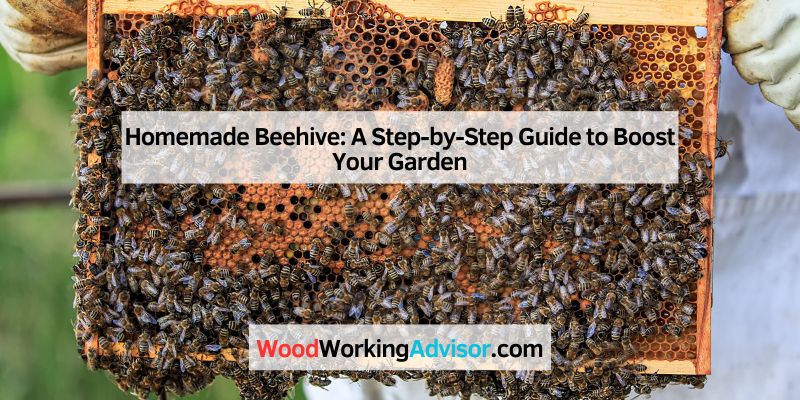 Homemade Beehive: A Step-by-Step Guide to Boost Your Garden