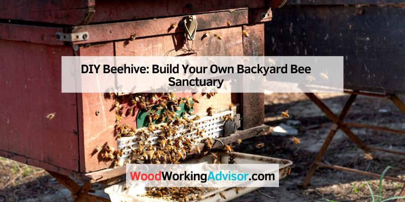 DIY Beehive: Build Your Own Backyard Bee Sanctuary