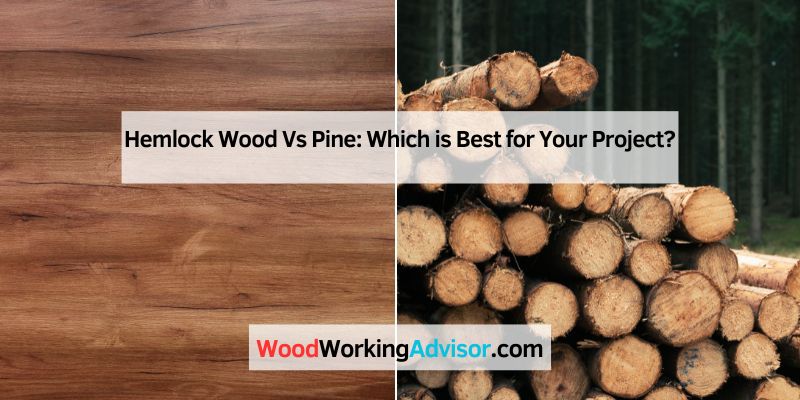 Hemlock Wood Vs Pine: Which is Best for Your Project?