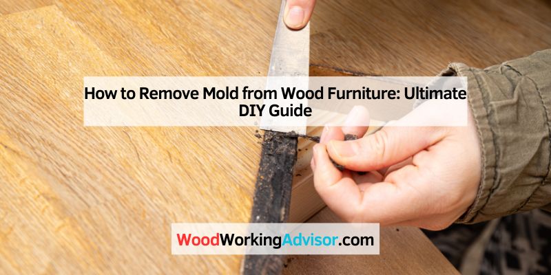 How to Remove Mold from Wood Furniture