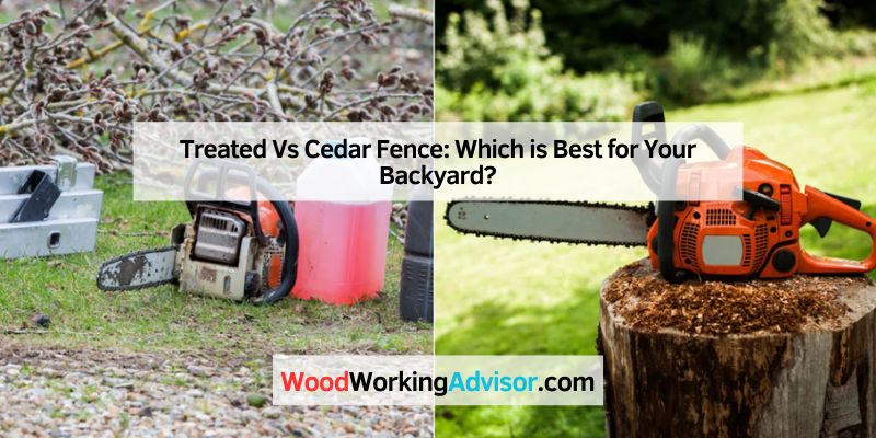 Gas Vs Cordless Chainsaw