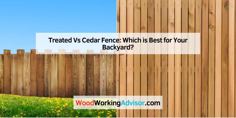 Treated Vs Cedar Fence: Which is Best for Your Backyard?