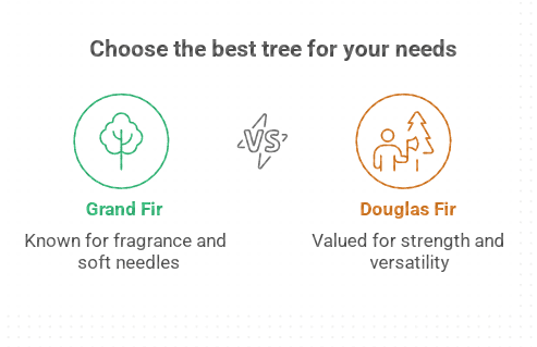 Choose the best tree for your needs