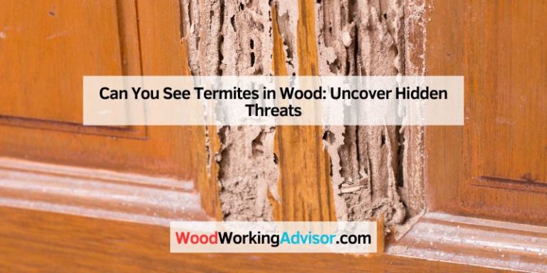 Can You See Termites in Wood