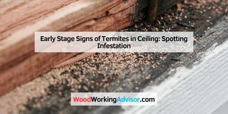 Early Stage Signs of Termites in Ceiling