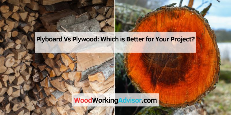Alder Vs Birch: Wood Qualities Compared