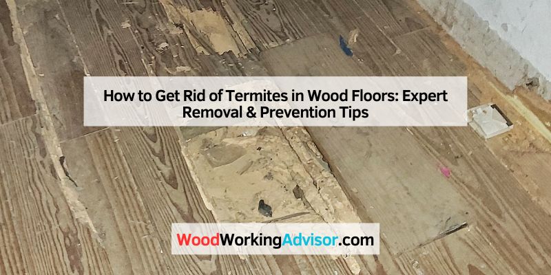 How to Get Rid of Termites in Wood Floors