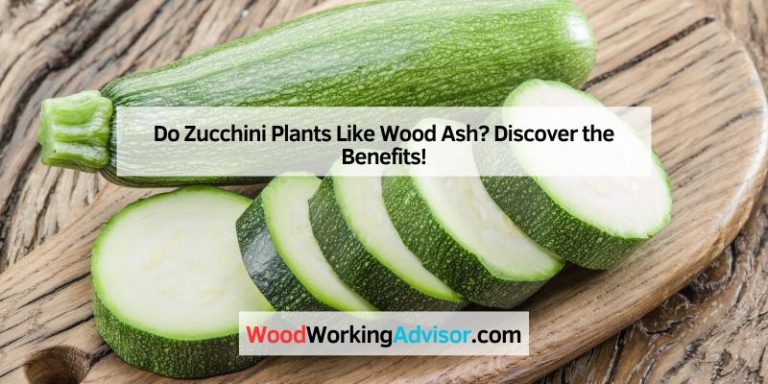 Do Zucchini Plants Like Do Zucchini Plants Like Wood Ash? Discover the Benefits!? Discover the Benefits!