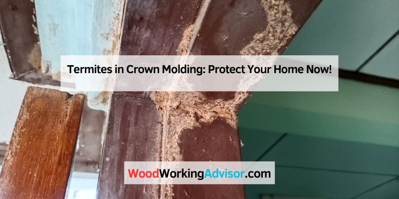 Termites in Crown Molding: Protect Your Home Now!