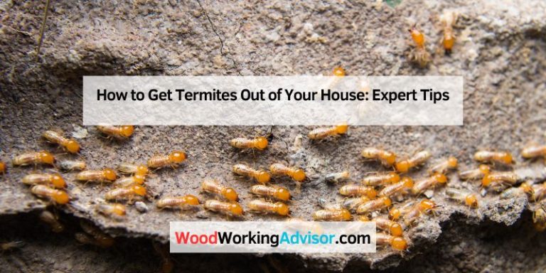 How to Get Termites Out of Your House