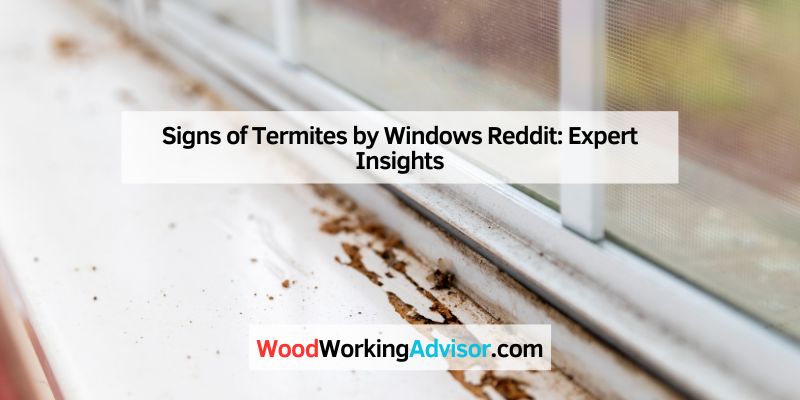 Signs of Termites by Windows Reddit
