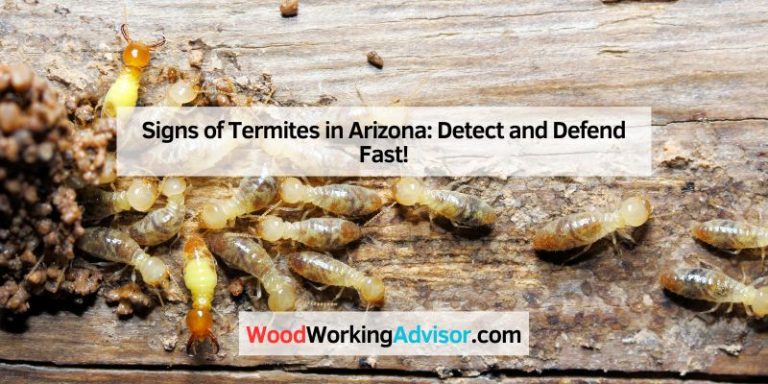 Signs of Termites in Arizona
