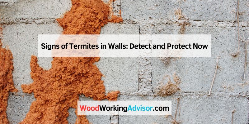Signs of Termites in Walls
