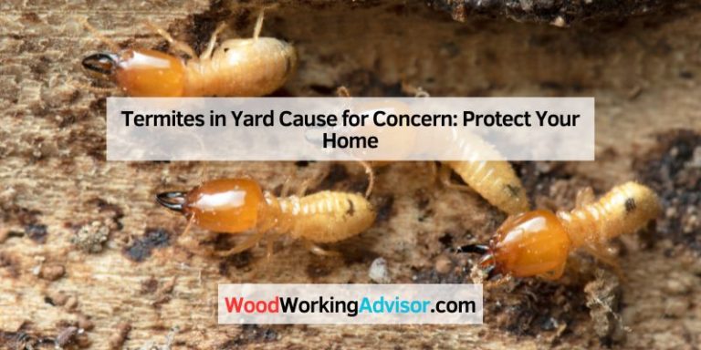 Termites in Yard Cause for Concern