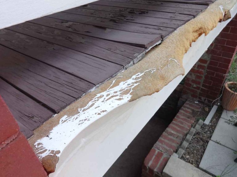 Can Mdf Board Get Wet