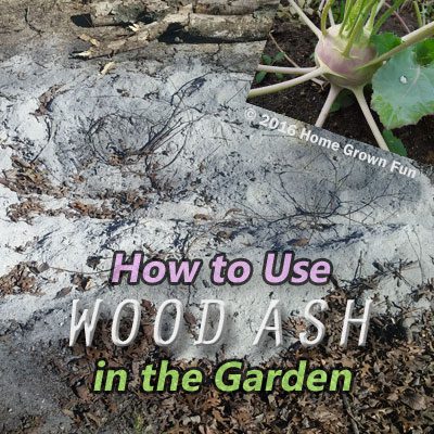 How Much Ash Wood