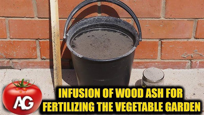 How to Make Wood Ash Tea