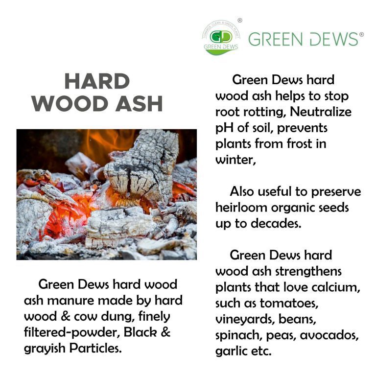 What Plants Avoid Wood Ash Garlic